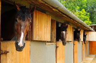 free Bellahouston stable construction quotes